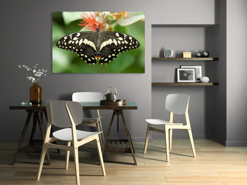 Tablou Canvas, "Fluturele contrastelor vii pe floare", Fluture, Aripi, Pestriț, Nectar, Natură, Delicatețe, Culori, Simetrie, 150 x 100 cm – poza 5
