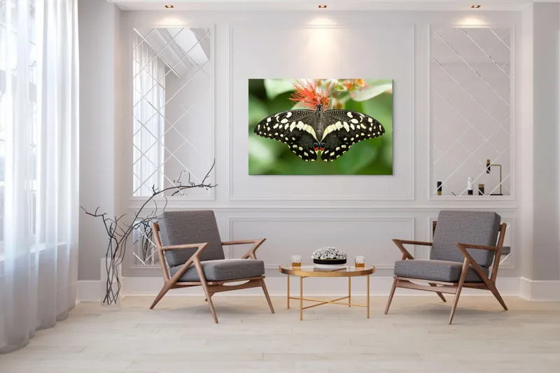 Tablou Canvas, "Fluturele contrastelor vii pe floare", Fluture, Aripi, Pestriț, Nectar, Natură, Delicatețe, Culori, Simetrie, 150 x 100 cm – poza 7