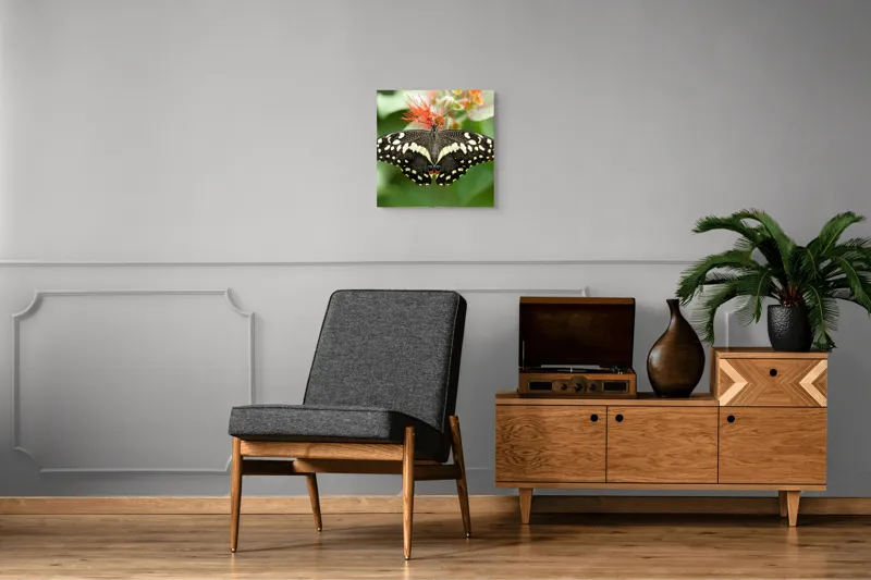 Tablou Canvas, "Fluturele contrastelor vii pe floare", Fluture, Aripi, Pestriț, Nectar, Natură, Delicatețe, Culori, Simetrie, 50 x 50 cm – poza 6