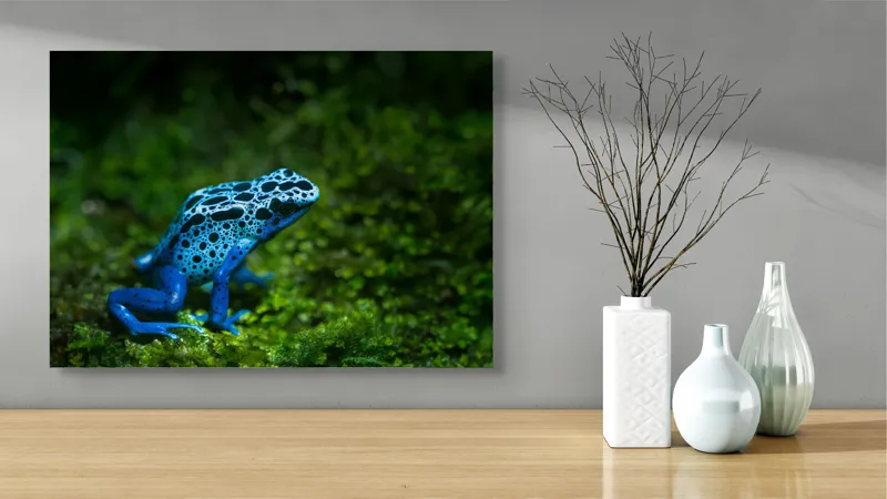 Tablou Canvas, "Broasca albastră în pădurea tropicală", Broască, Albastră, Textură, Pădure, Verde, Vibrantă, Natură, 70 x 50 cm – poza 3