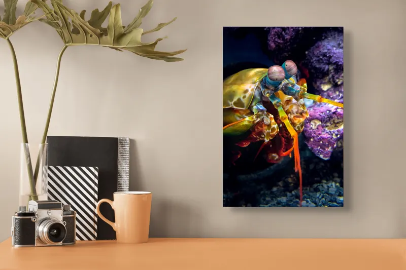 Tablou Canvas, "Mantisul marin în arsenal colorat", Colorat, Vibrant, Exotic, Fascinant, Maritim, Strălucitor, Complex, Impresionant, Detaliat, Plin-De-Viață, 26 x 39 cm – poza 3