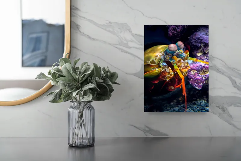 Tablou Canvas, "Mantisul marin în arsenal colorat", Colorat, Vibrant, Exotic, Fascinant, Maritim, Strălucitor, Complex, Impresionant, Detaliat, Plin-De-Viață, 26 x 39 cm – poza 4