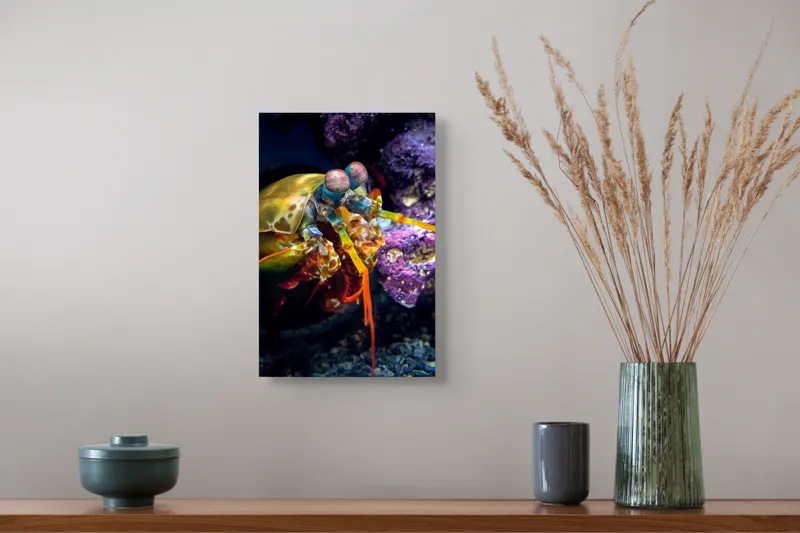 Tablou Canvas, "Mantisul marin în arsenal colorat", Colorat, Vibrant, Exotic, Fascinant, Maritim, Strălucitor, Complex, Impresionant, Detaliat, Plin-De-Viață, 26 x 39 cm – poza 5