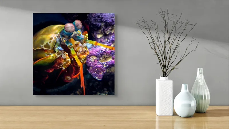 Tablou Canvas, "Mantisul marin în arsenal colorat", Colorat, Vibrant, Exotic, Fascinant, Maritim, Strălucitor, Complex, Impresionant, Detaliat, Plin-De-Viață, 50 x 50 cm – poza 3