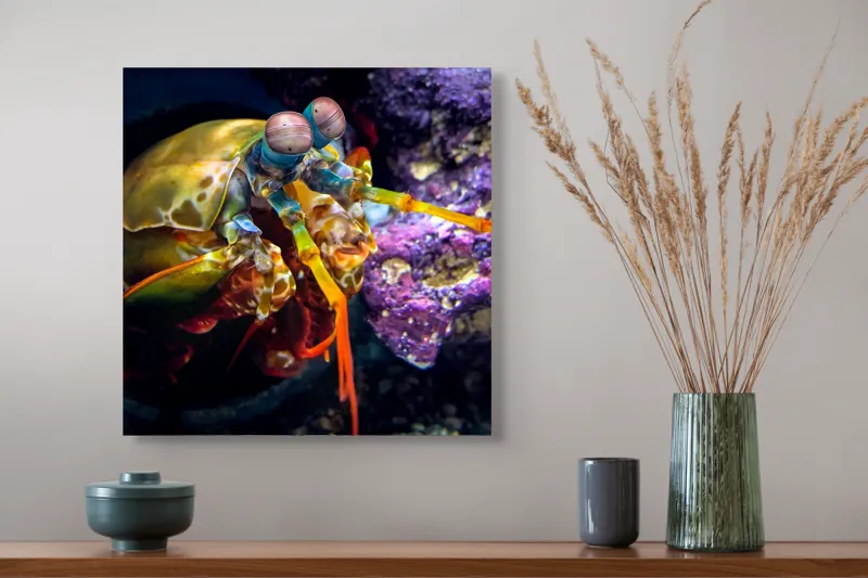Tablou Canvas, "Mantisul marin în arsenal colorat", Colorat, Vibrant, Exotic, Fascinant, Maritim, Strălucitor, Complex, Impresionant, Detaliat, Plin-De-Viață, 50 x 50 cm – poza 4