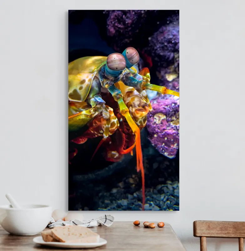 Tablou Canvas, "Mantisul marin în arsenal colorat", Colorat, Vibrant, Exotic, Fascinant, Maritim, Strălucitor, Complex, Impresionant, Detaliat, Plin-De-Viață, 50 x 90 cm – poza 3