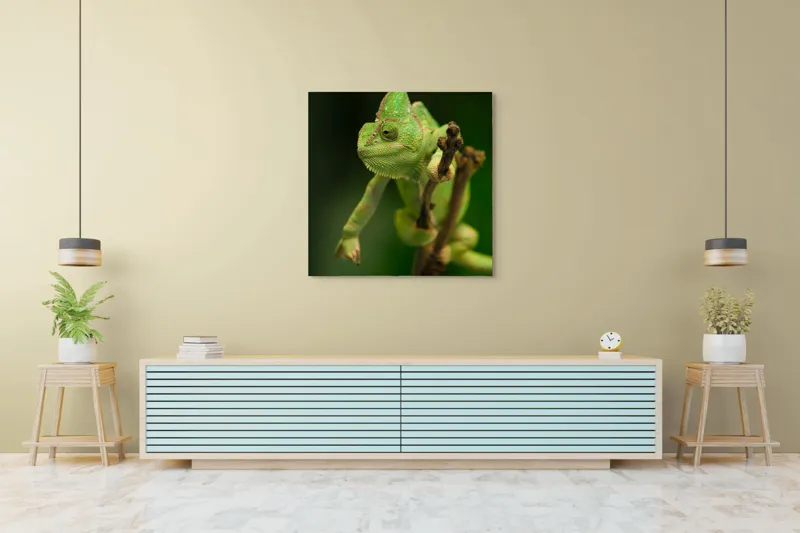 Tablou Canvas, "Cameleon odihnindu-se pe o ramură", Cameleon, Verde, Ramură, Natural, Privire, Textura, Echilibru, Detaliu, 100 x 100 cm – poza 5