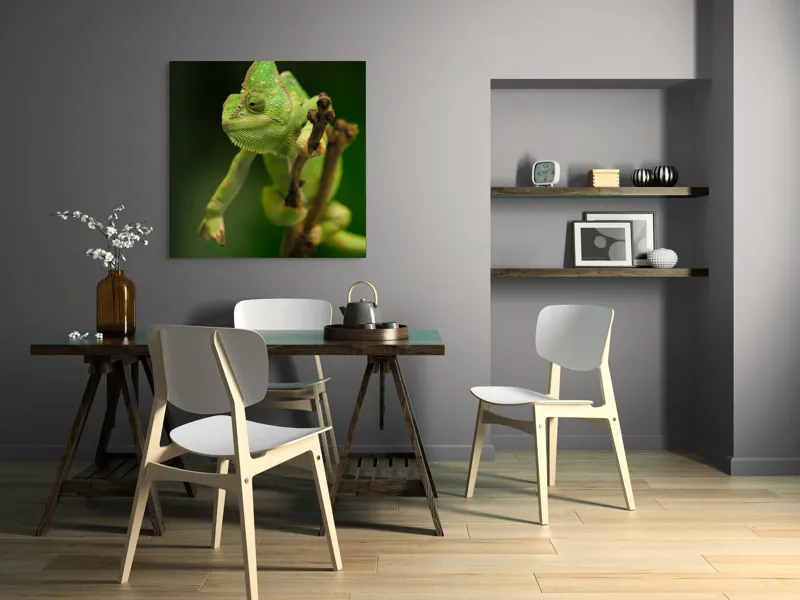 Tablou Canvas, "Cameleon odihnindu-se pe o ramură", Cameleon, Verde, Ramură, Natural, Privire, Textura, Echilibru, Detaliu, 100 x 100 cm – poza 6