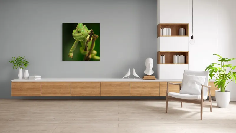 Tablou Canvas, "Cameleon odihnindu-se pe o ramură", Cameleon, Verde, Ramură, Natural, Privire, Textura, Echilibru, Detaliu, 100 x 100 cm – poza 8