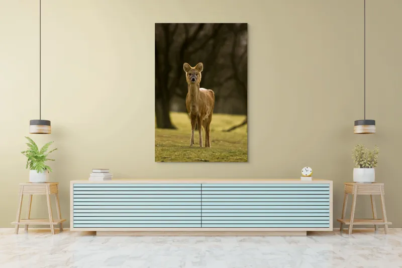 Tablou Canvas, "Căprioara în lumina pădurii toamna", Deer, Forest, Graceful, Alert, Serene, Nature, Peaceful, Woodland, 100 x 150 cm – poza 4