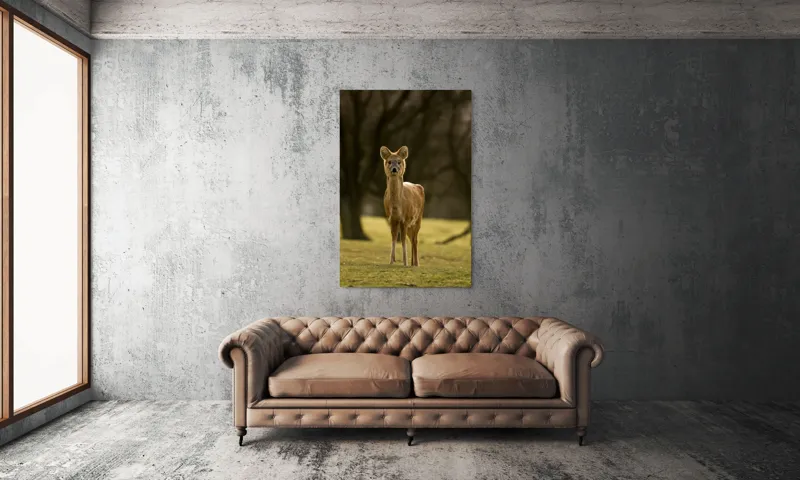 Tablou Canvas, "Căprioara în lumina pădurii toamna", Deer, Forest, Graceful, Alert, Serene, Nature, Peaceful, Woodland, 100 x 150 cm – poza 6