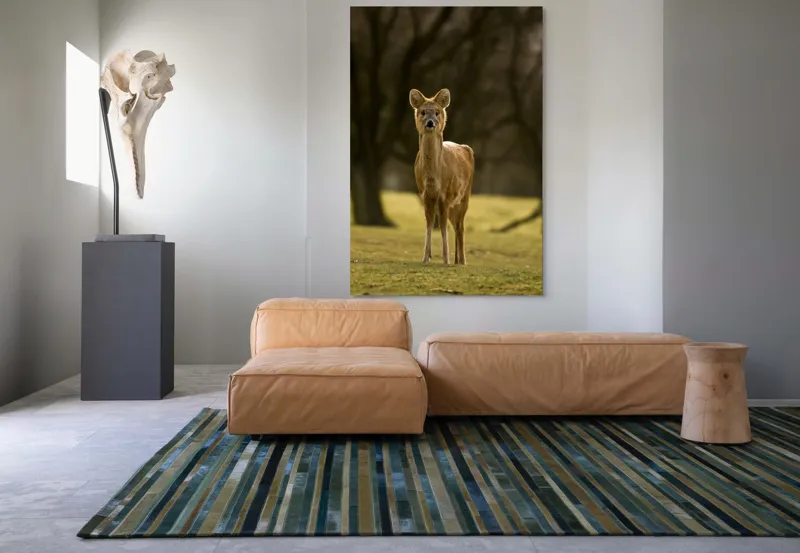 Tablou Canvas, "Căprioara în lumina pădurii toamna", Deer, Forest, Graceful, Alert, Serene, Nature, Peaceful, Woodland, 100 x 150 cm – poza 7