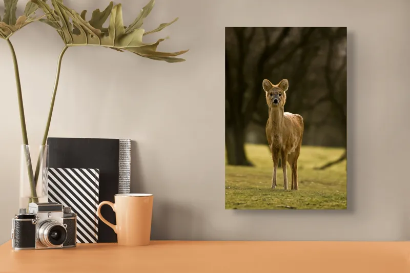 Tablou Canvas, "Căprioara în lumina pădurii toamna", Deer, Forest, Graceful, Alert, Serene, Nature, Peaceful, Woodland, 26 x 39 cm – poza 3