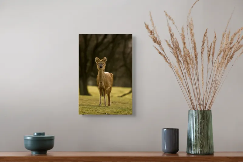 Tablou Canvas, "Căprioara în lumina pădurii toamna", Deer, Forest, Graceful, Alert, Serene, Nature, Peaceful, Woodland, 26 x 39 cm – poza 5