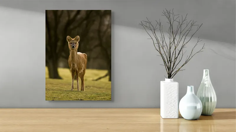 Tablou Canvas, "Căprioara în lumina pădurii toamna", Deer, Forest, Graceful, Alert, Serene, Nature, Peaceful, Woodland, 39 x 54 cm – poza 4