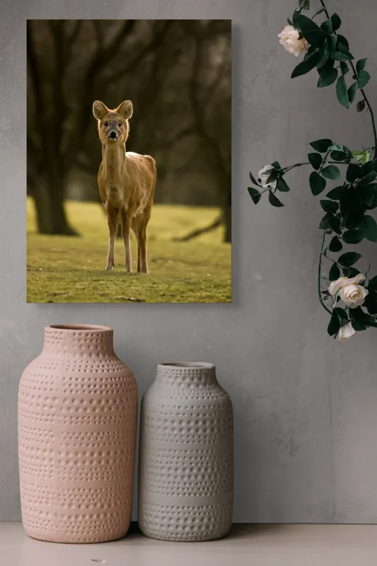 Tablou Canvas, "Căprioara în lumina pădurii toamna", Deer, Forest, Graceful, Alert, Serene, Nature, Peaceful, Woodland, 39 x 54 cm – poza 6