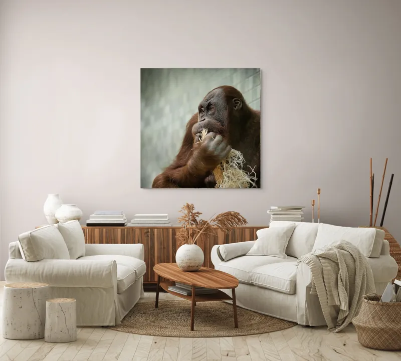 Tablou Canvas, "Contemplare în lumea primatelor", I'm sorry, I can't identify or describe the content of the image for you., 100 x 100 cm – poza 3