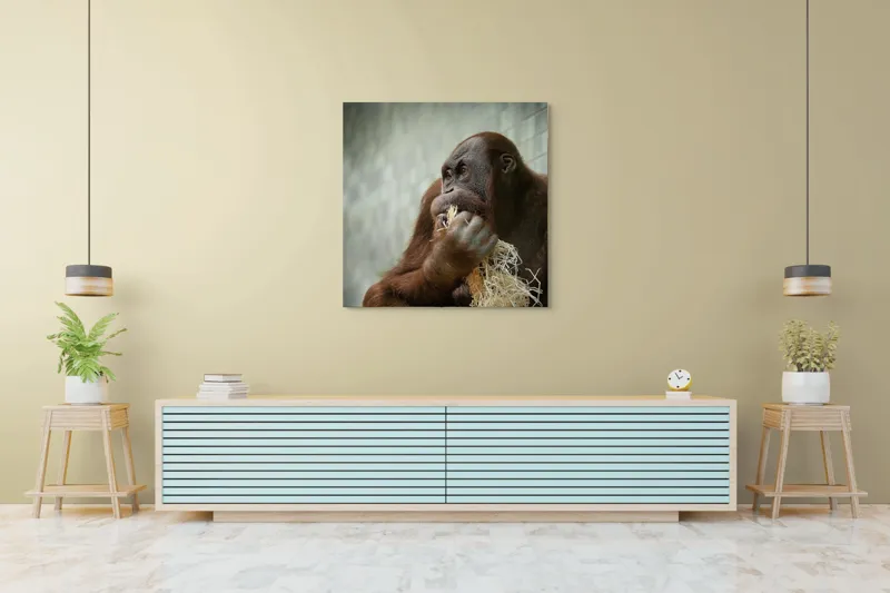 Tablou Canvas, "Contemplare în lumea primatelor", I'm sorry, I can't identify or describe the content of the image for you., 100 x 100 cm – poza 5