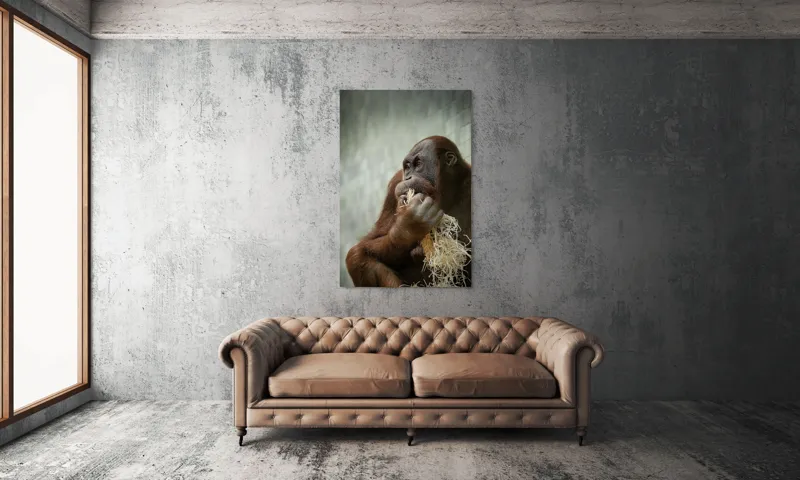 Tablou Canvas, "Contemplare în lumea primatelor", 100 x 150 cm – poza 6