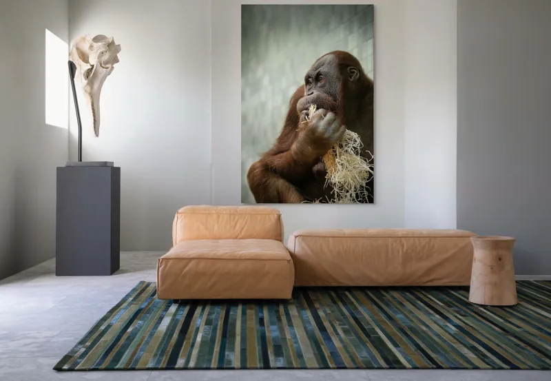 Tablou Canvas, "Contemplare în lumea primatelor", 100 x 150 cm – poza 7