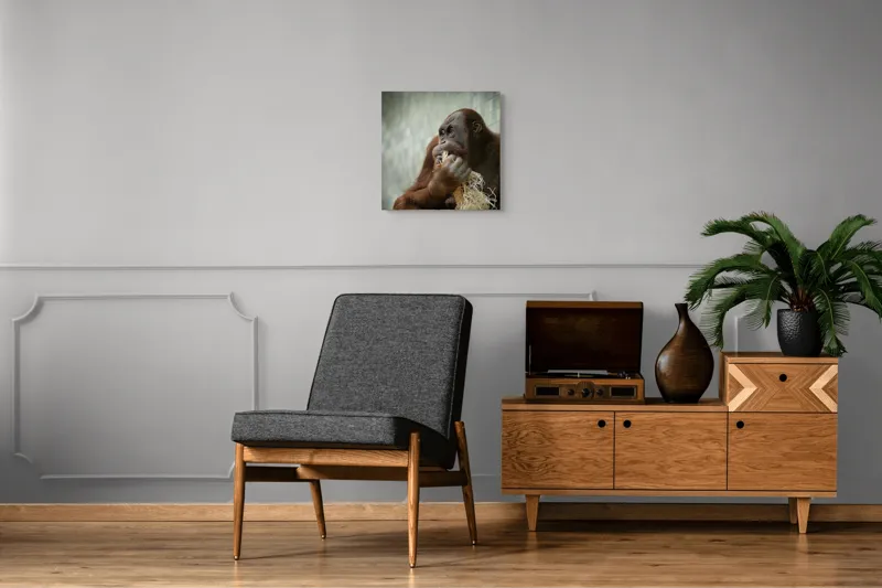Tablou Canvas, "Contemplare în lumea primatelor", 50 x 50 cm – poza 6