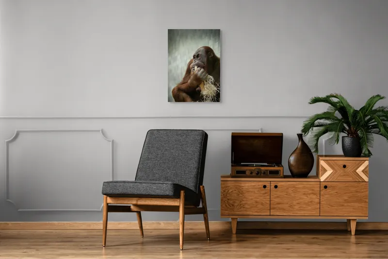 Tablou Canvas, "Contemplare în lumea primatelor", 50 x 70 cm – poza 8
