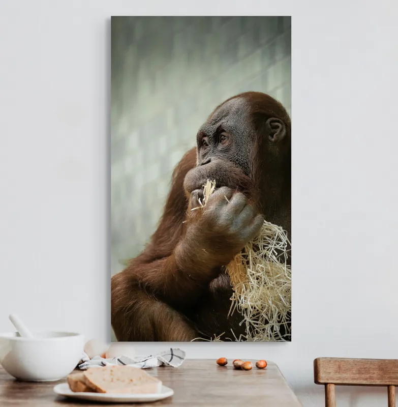 Tablou Canvas, "Contemplare în lumea primatelor", 50 x 90 cm – poza 3