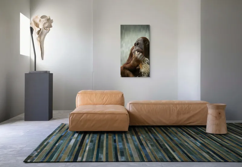 Tablou Canvas, "Contemplare în lumea primatelor", 50 x 90 cm – poza 5