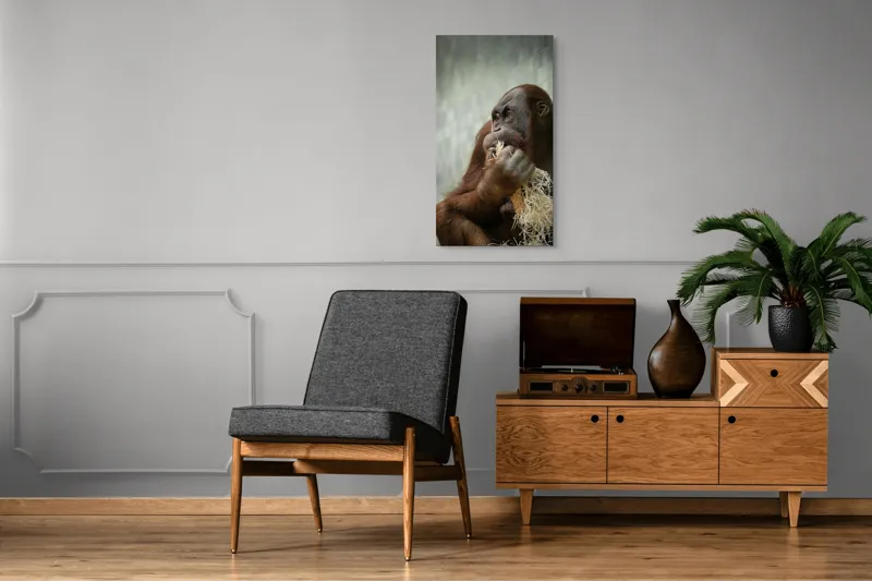 Tablou Canvas, "Contemplare în lumea primatelor", 50 x 90 cm – poza 8
