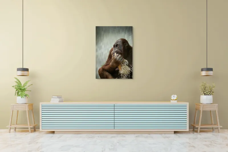 Tablou Canvas, "Contemplare în lumea primatelor", 70 x 100 cm – poza 5