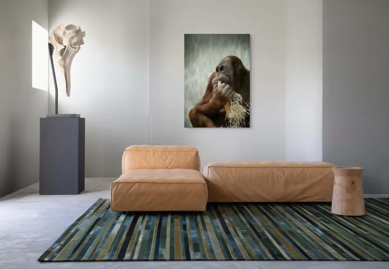 Tablou Canvas, "Contemplare în lumea primatelor", 70 x 100 cm – poza 7