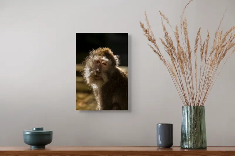 Tablou Canvas Portret Maimuță cu Efect de Lumină Solară, 26 x 39 cm – poza 5