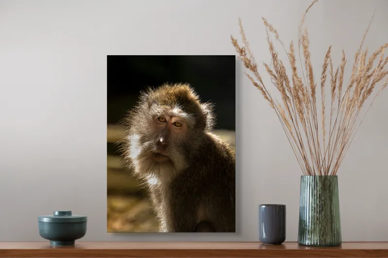 Tablou Canvas Portret Maimuță cu Efect de Lumină Solară, 39 x 54 cm – poza 3