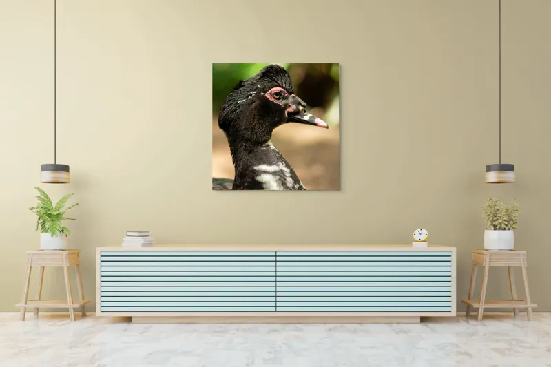 Tablou Canvas, "Penele elegante ale raței colorate", Pene, Cioc, Ochi, Verdeață, Detalii, Lumini, Texturi, Zvelt, Profil, 100 x 100 cm – poza 5