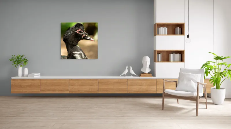 Tablou Canvas, "Penele elegante ale raței colorate", Pene, Cioc, Ochi, Verdeață, Detalii, Lumini, Texturi, Zvelt, Profil, 100 x 100 cm – poza 8