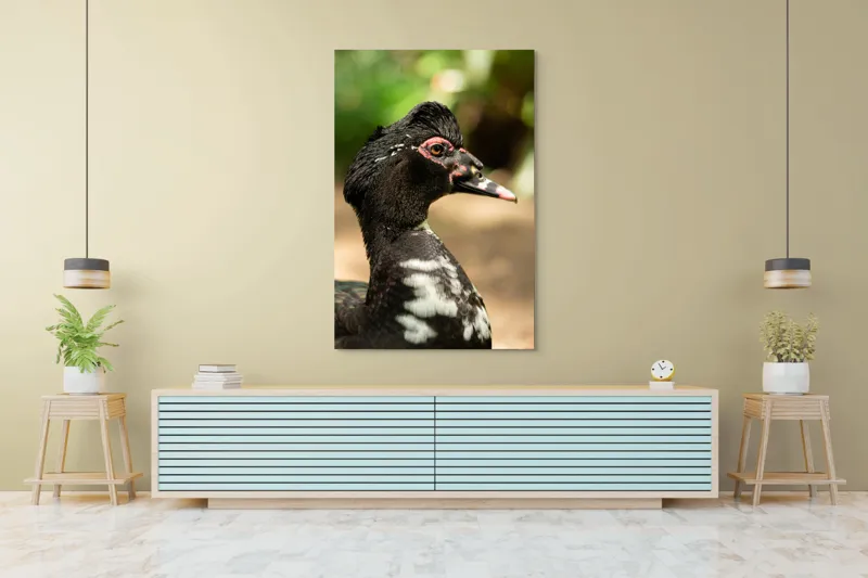 Tablou Canvas, "Penele elegante ale raței colorate", Pene, Cioc, Ochi, Verdeață, Detalii, Lumini, Texturi, Zvelt, Profil, 100 x 150 cm – poza 4