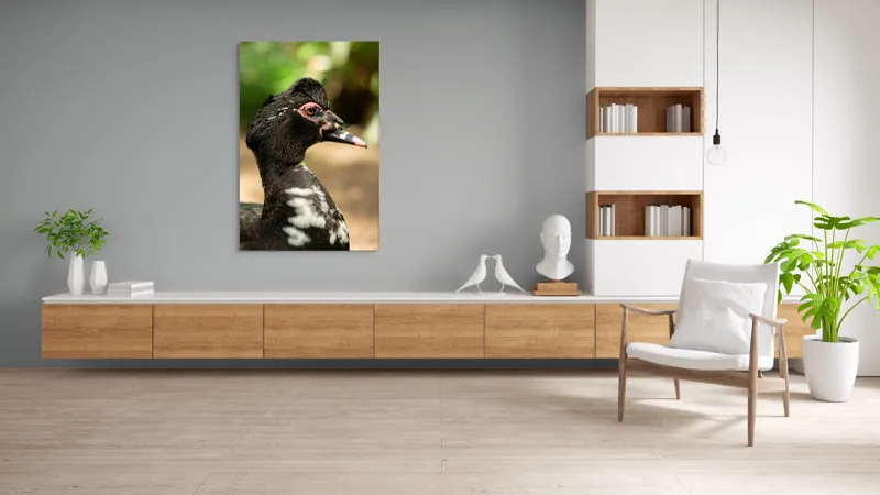 Tablou Canvas, "Penele elegante ale raței colorate", Pene, Cioc, Ochi, Verdeață, Detalii, Lumini, Texturi, Zvelt, Profil, 100 x 150 cm – poza 8