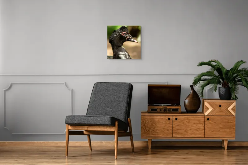 Tablou Canvas, "Penele elegante ale raței colorate", Pene, Cioc, Ochi, Verdeață, Detalii, Lumini, Texturi, Zvelt, Profil, 50 x 50 cm – poza 6
