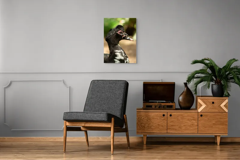 Tablou Canvas, "Penele elegante ale raței colorate", Pene, Cioc, Ochi, Verdeață, Detalii, Lumini, Texturi, Zvelt, Profil, 50 x 70 cm – poza 8