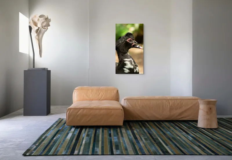 Tablou Canvas, "Penele elegante ale raței colorate", Pene, Cioc, Ochi, Verdeață, Detalii, Lumini, Texturi, Zvelt, Profil, 50 x 90 cm – poza 5