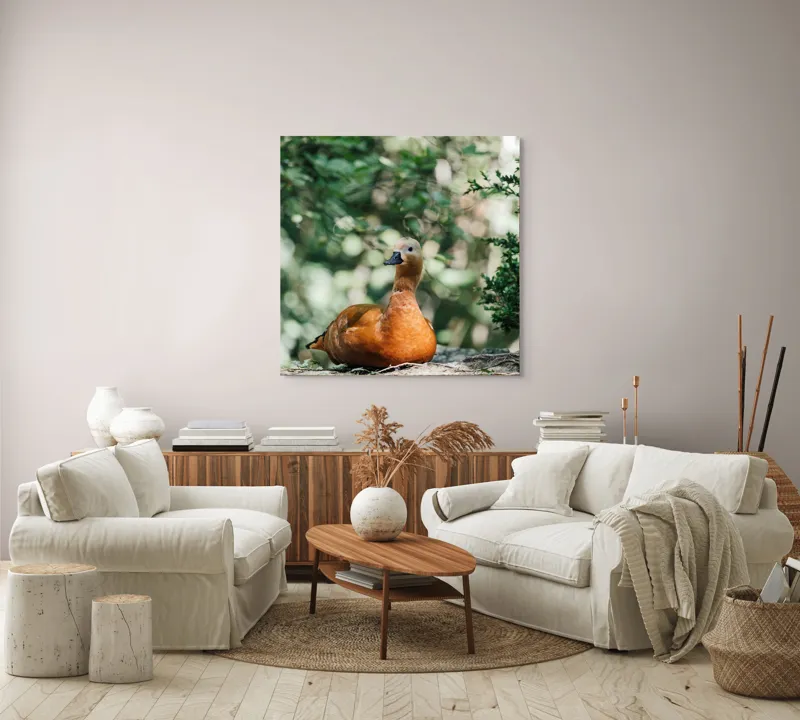 Tablou Canvas, "Rață roșcată odihnindu-se în pădure", 100 x 100 cm – poza 3