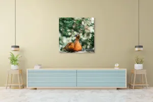 Tablou Canvas, "Rață roșcată odihnindu-se în pădure", 100 x 100 cm – poza 5