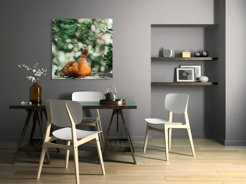 Tablou Canvas, "Rață roșcată odihnindu-se în pădure", 100 x 100 cm – poza 6