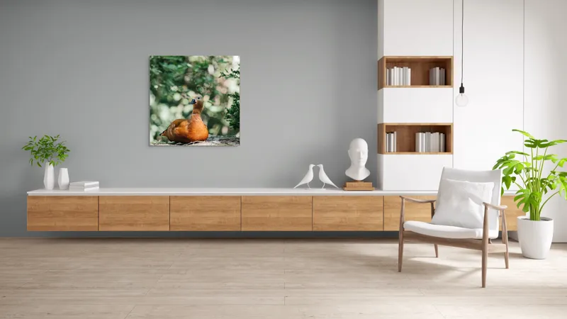 Tablou Canvas, "Rață roșcată odihnindu-se în pădure", 100 x 100 cm – poza 8