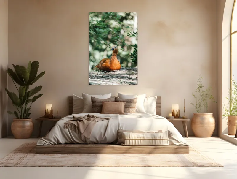 Tablou Canvas, "Rață roșcată odihnindu-se în pădure", 100 x 150 cm – poza 3