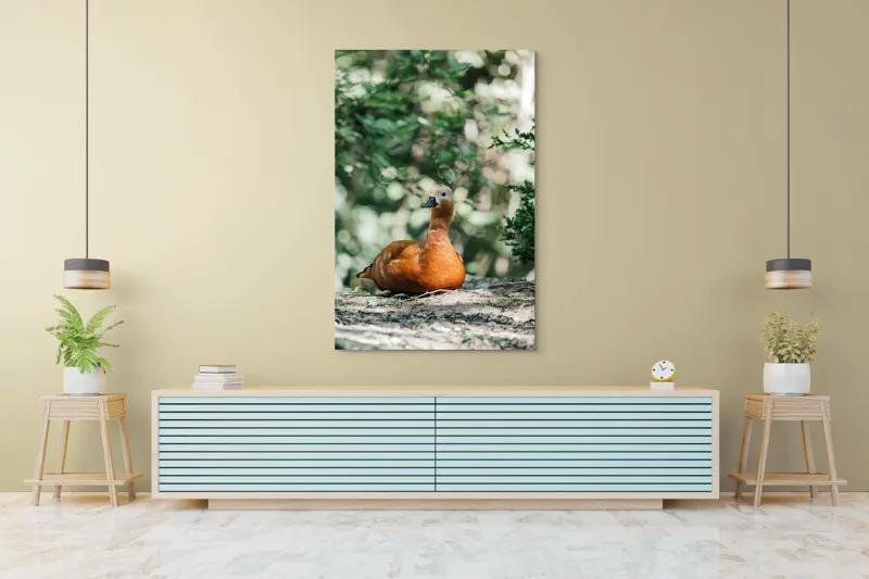 Tablou Canvas, "Rață roșcată odihnindu-se în pădure", 100 x 150 cm – poza 4