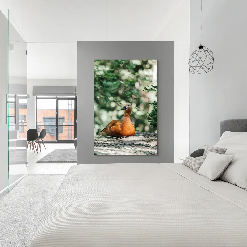 Tablou Canvas, "Rață roșcată odihnindu-se în pădure", 100 x 150 cm – poza 5