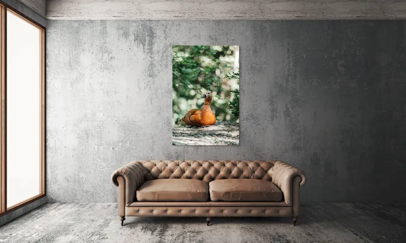 Tablou Canvas, "Rață roșcată odihnindu-se în pădure", 100 x 150 cm – poza 6