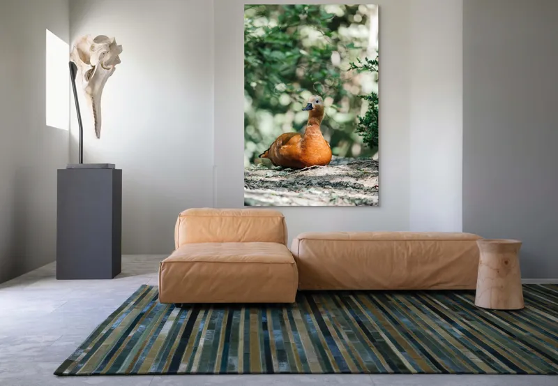 Tablou Canvas, "Rață roșcată odihnindu-se în pădure", 100 x 150 cm – poza 7
