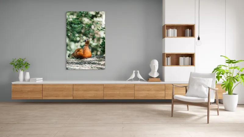 Tablou Canvas, "Rață roșcată odihnindu-se în pădure", 100 x 150 cm – poza 8